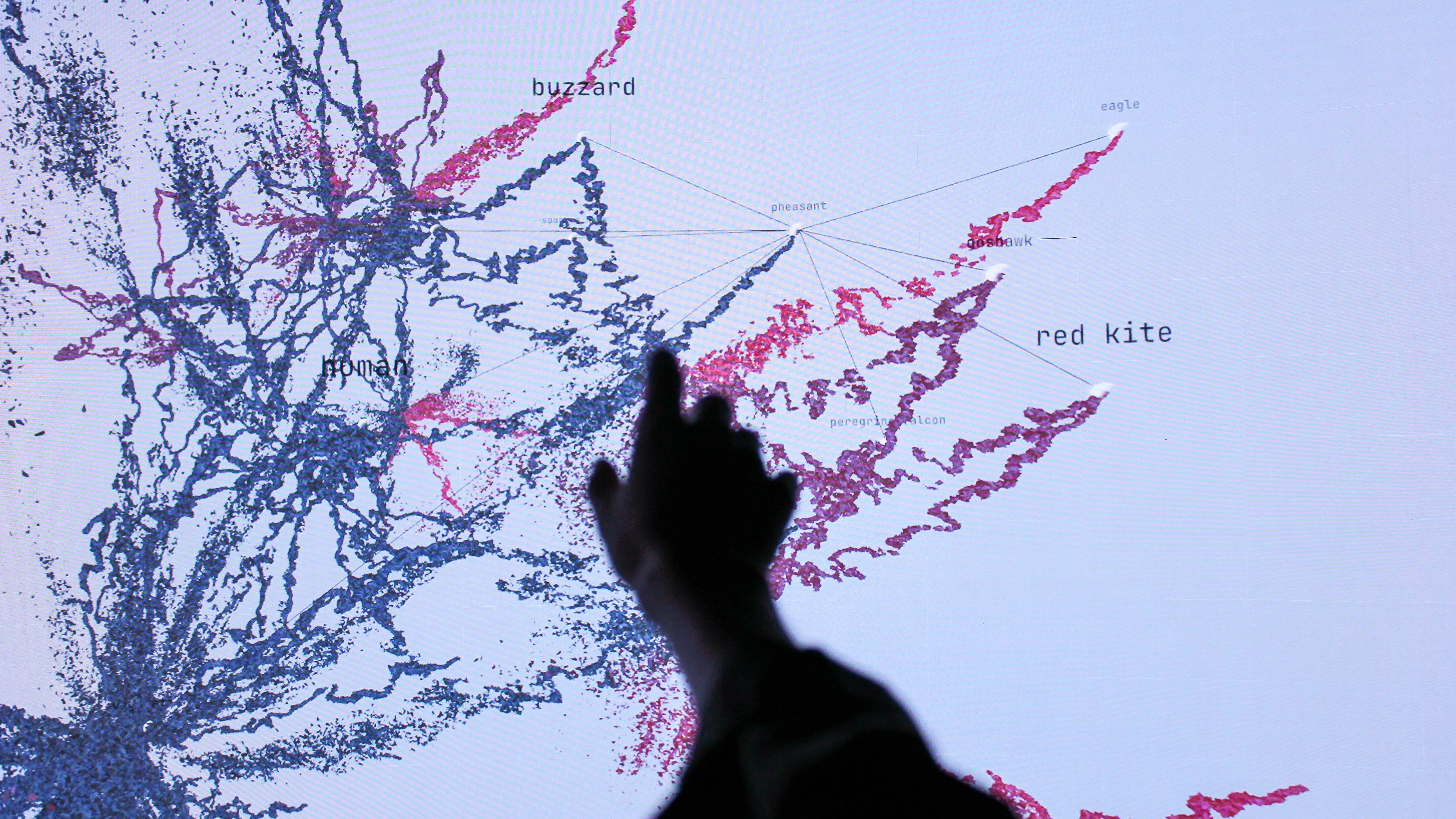 Capillary Project Image 1